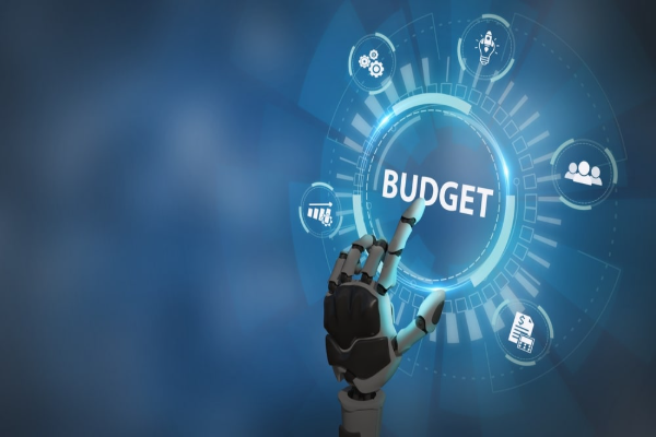 Budget Estimates In California CA